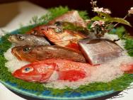 錦（寿司コース）